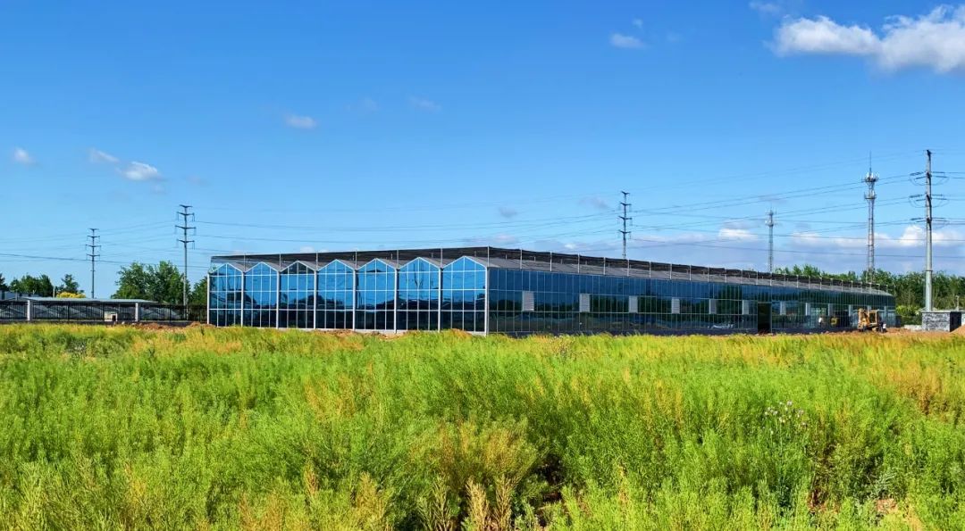 沂蒙乡村振兴学习感悟,乡村振兴看沂蒙专题