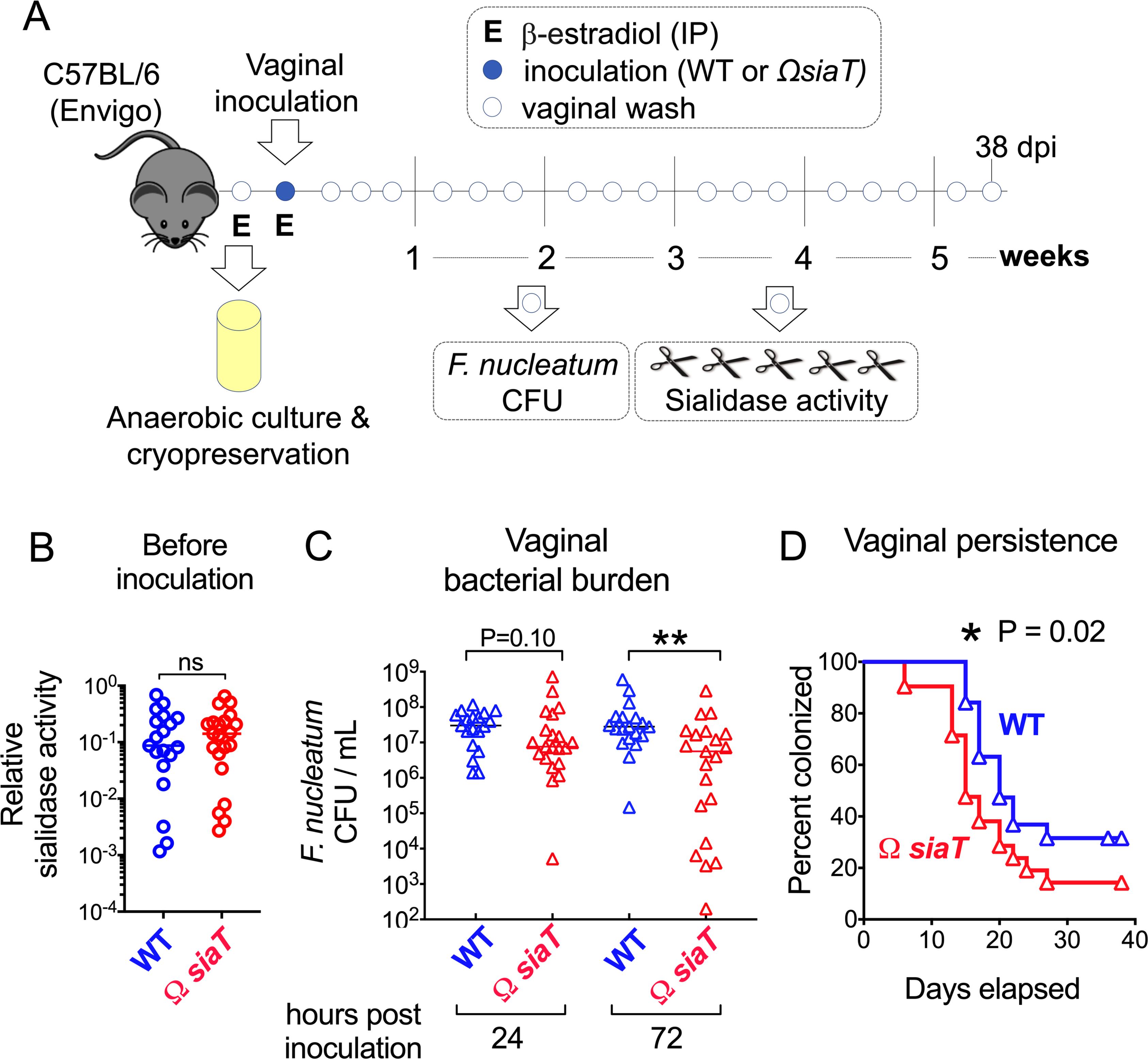 女朋友外阴长期干涩是怎么回事,女人妇科天生干涩是什么原因