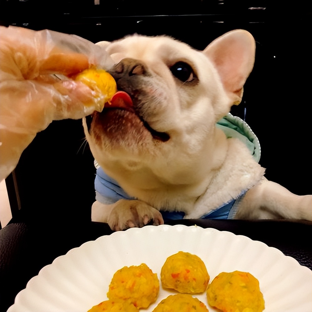 法牛有泪痕怎么处理,法牛有体臭怎么办