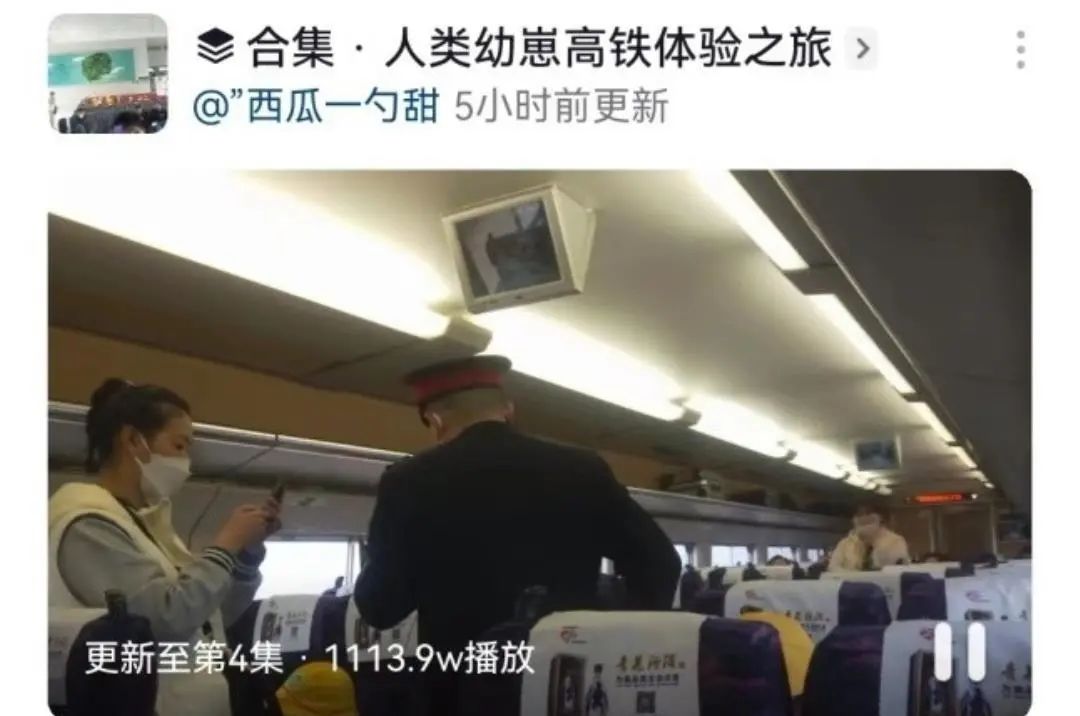 如何带人类幼崽优雅地坐高铁,人类幼崽坐高铁