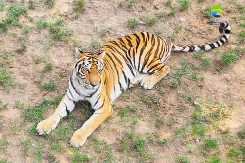 威海2天怎么玩,2日1晚威海旅游攻略
