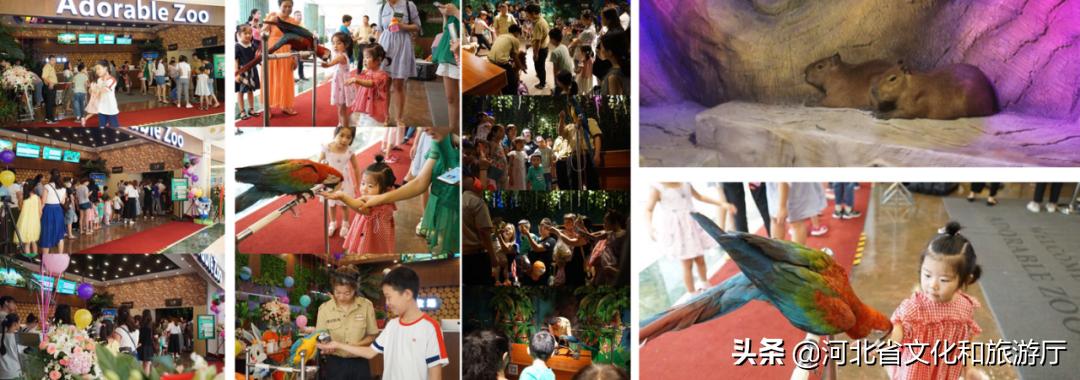 未来取代电商的是什么模式,购物中心成景区