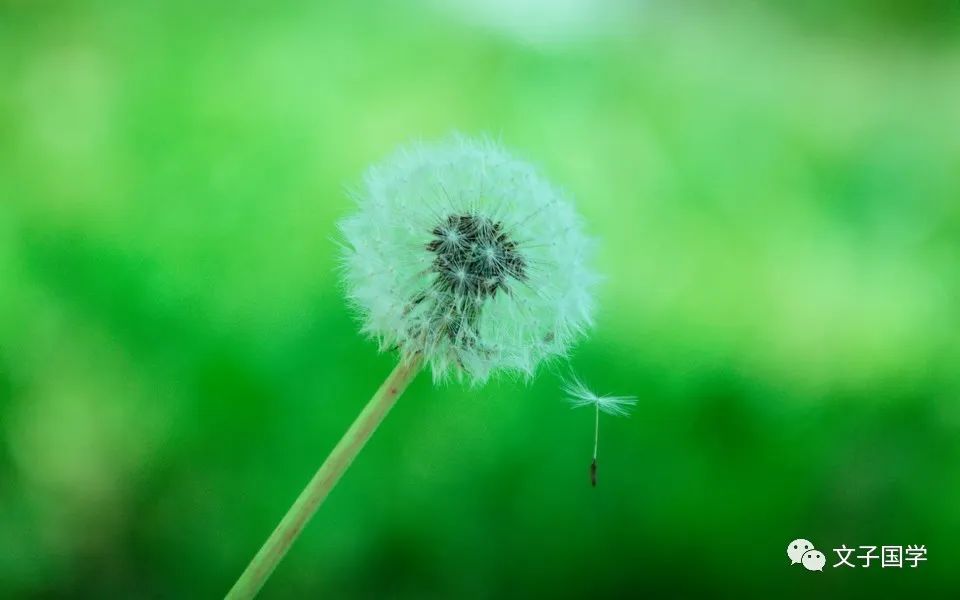 快把爱情扔了吧。《诗经》其实是大周王朝的政治“红宝书”（1）