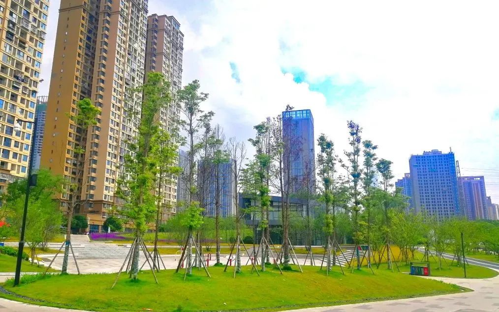 幸福成都美丽家园,幸福成都成就梦想