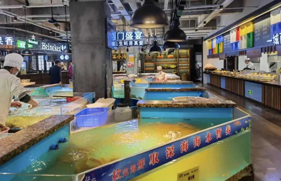 浙江最快的高铁,浙江第一条高铁开通时间