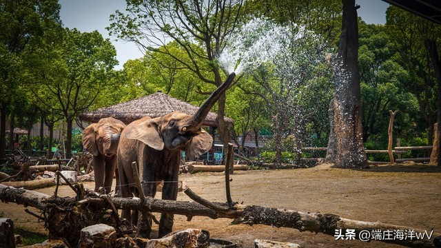 上海最值得去的打卡地,上海必去的打卡地合集