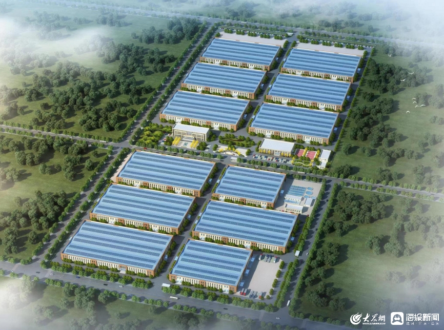 潍坊企业家创新报告会,潍坊企业家论道