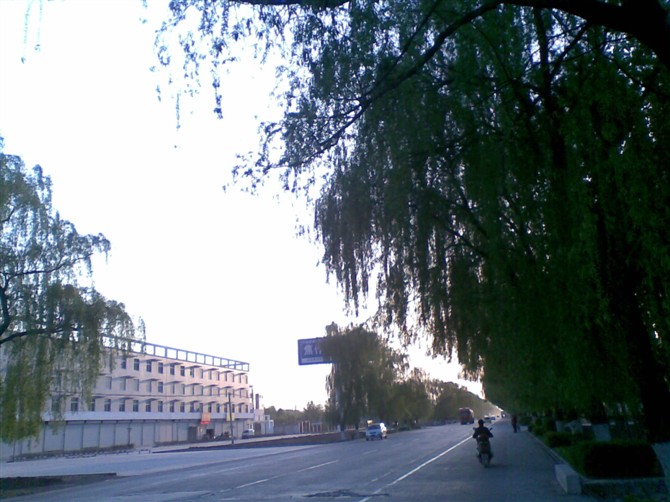 十年前单车小白入坑,骑行入坑从小白到十年的全过程