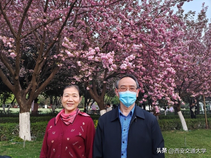 “春见”仙交，樱寄情思