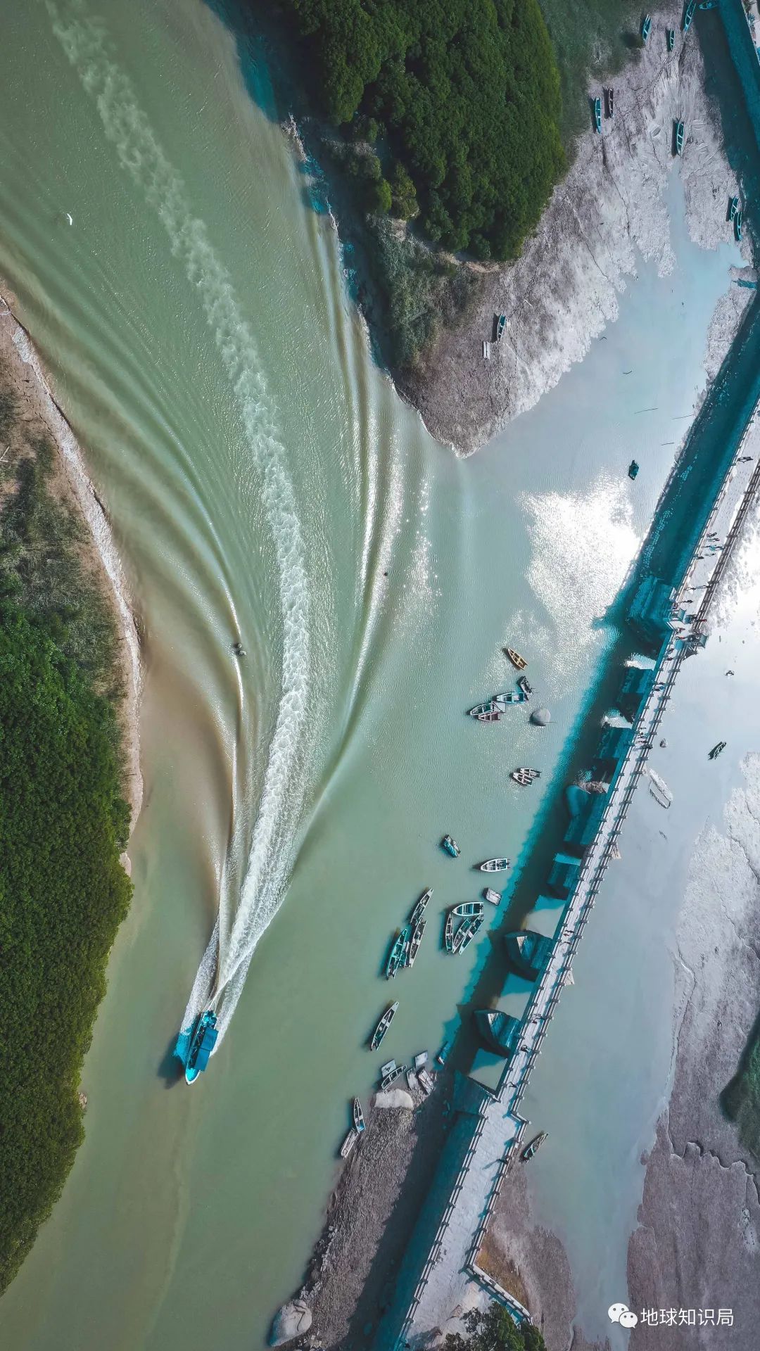 中国姓马的人为什么这么多,中国姓马的人口