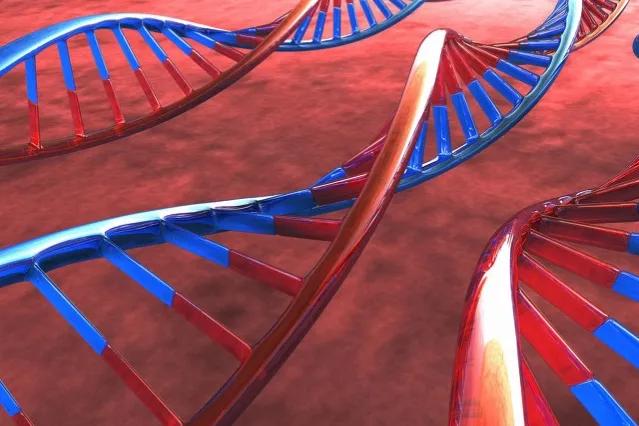 足球运动影响为什么这么大,足球运动跟人种有关系吗