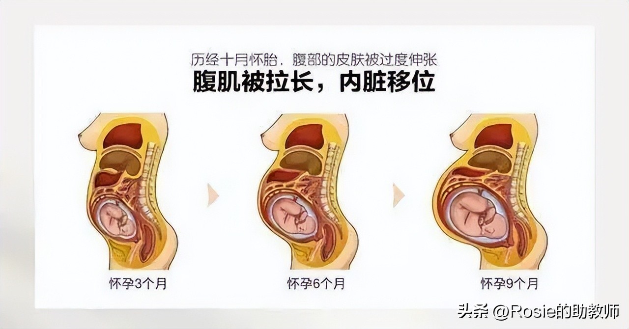 戚薇挺孕肚出行辣妈范儿，产后身体变化有哪些？三步赶走粗腰肥臀