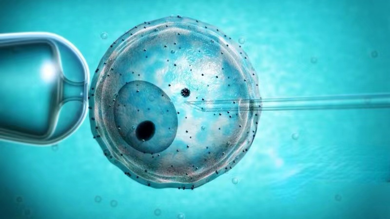 忽悠女大学生卖“卵子”的黑中介到底有多坑?妇产科医生揭露*局骗**