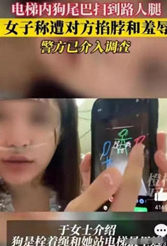 女子电梯内被大型犬咬死,女子在电梯内被自家狗撕咬
