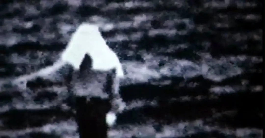 鬼来电恐怖电话声音,鬼来电真的可怕吗