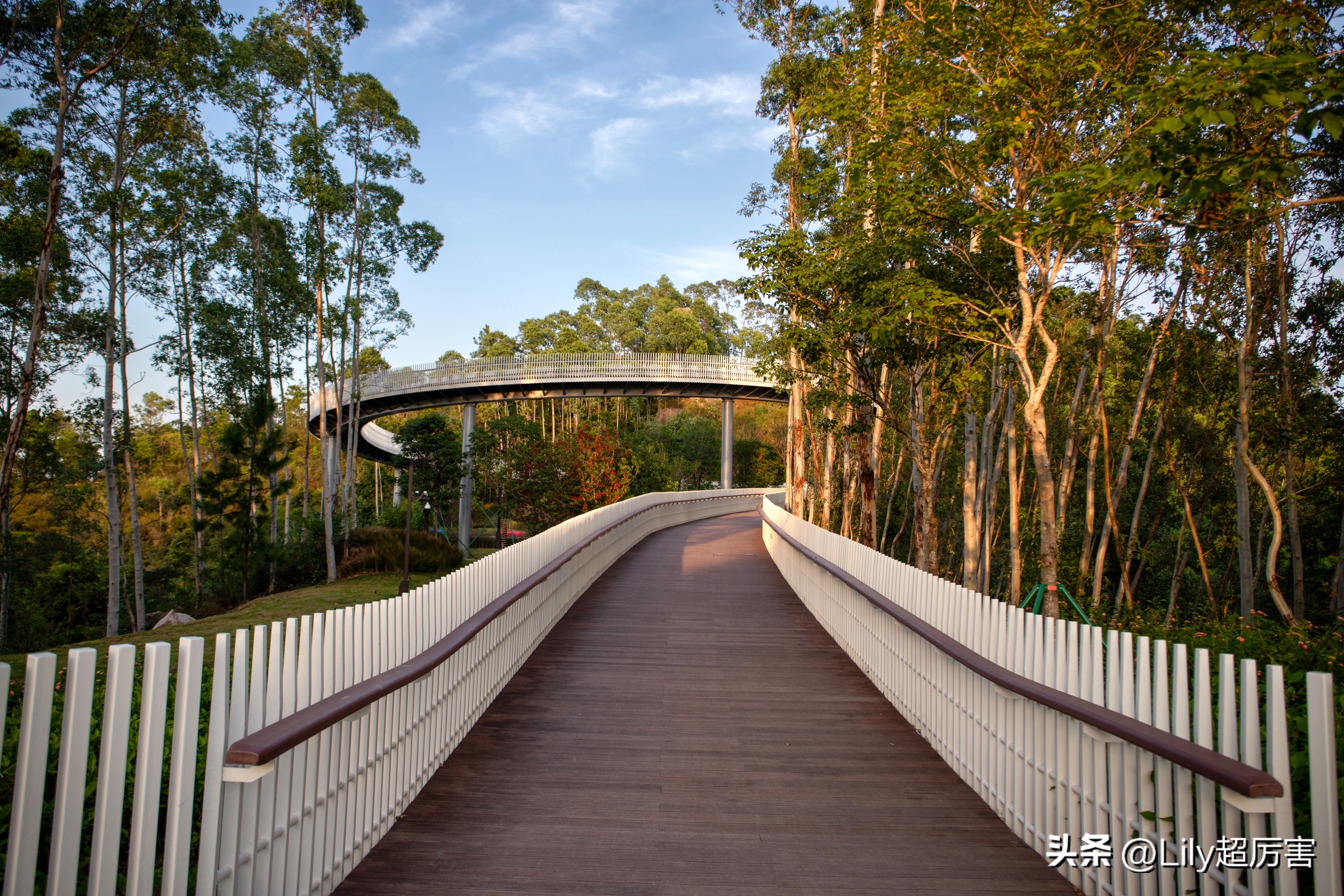 珠海看日出公园,珠海花海长廊看日落