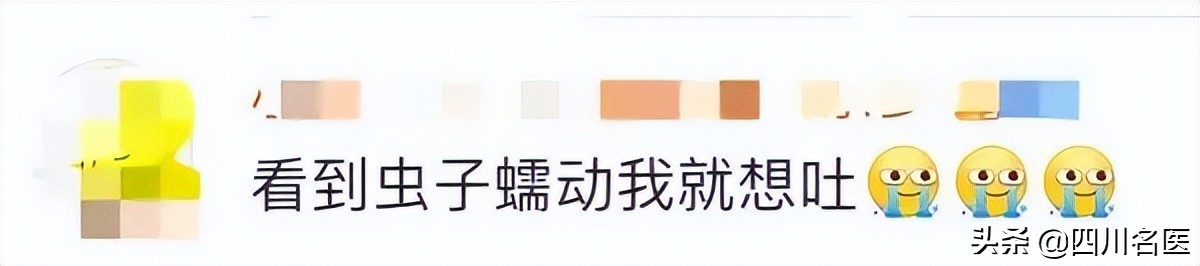 杨梅的小虫子可以吃吗,杨梅里的小虫子到底能不能吃