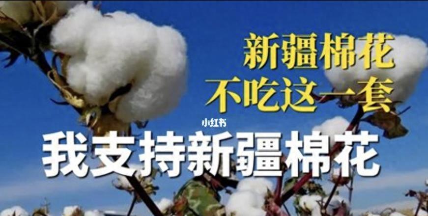 女汉奸袁莉还能回国吗,现代女汉奸袁莉