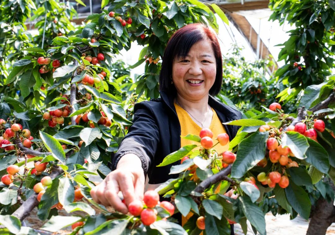 逛吃逛吃歌曲,逛吃逛吃