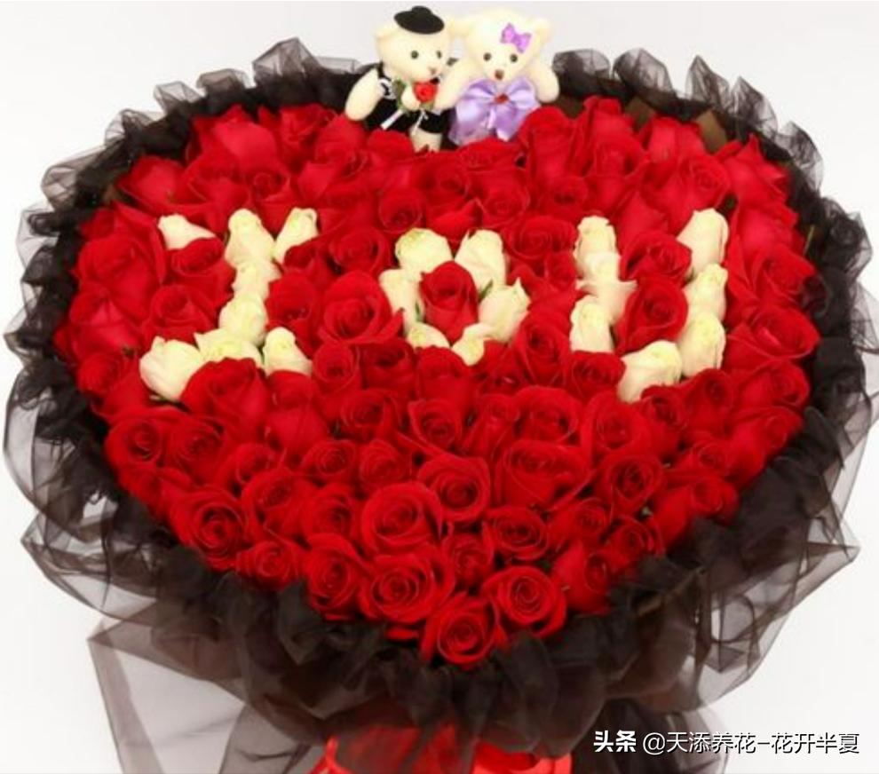 18朵粉色玫瑰花代表什么含义,5朵玫瑰花的寓意和花语是什么