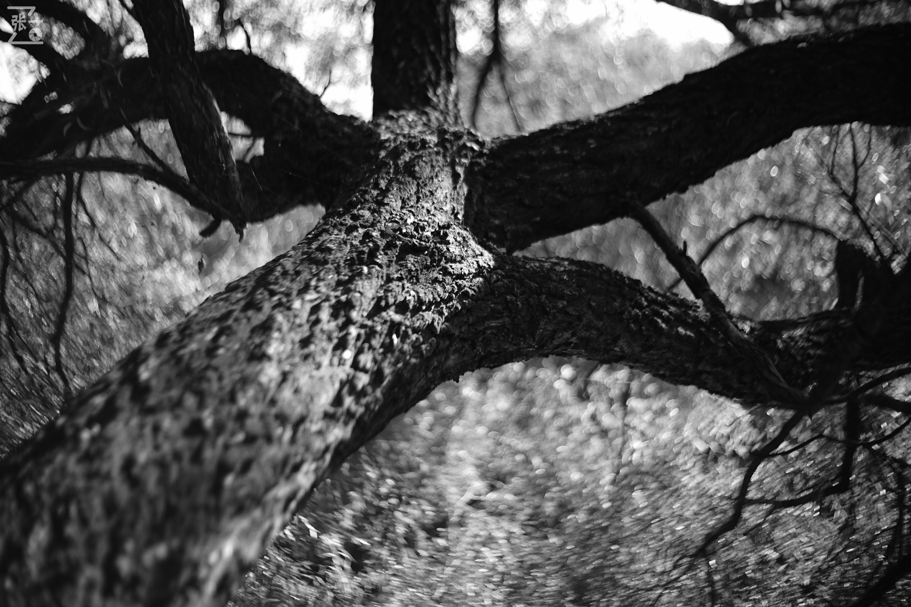 老镜头实拍,老镜头拍北京