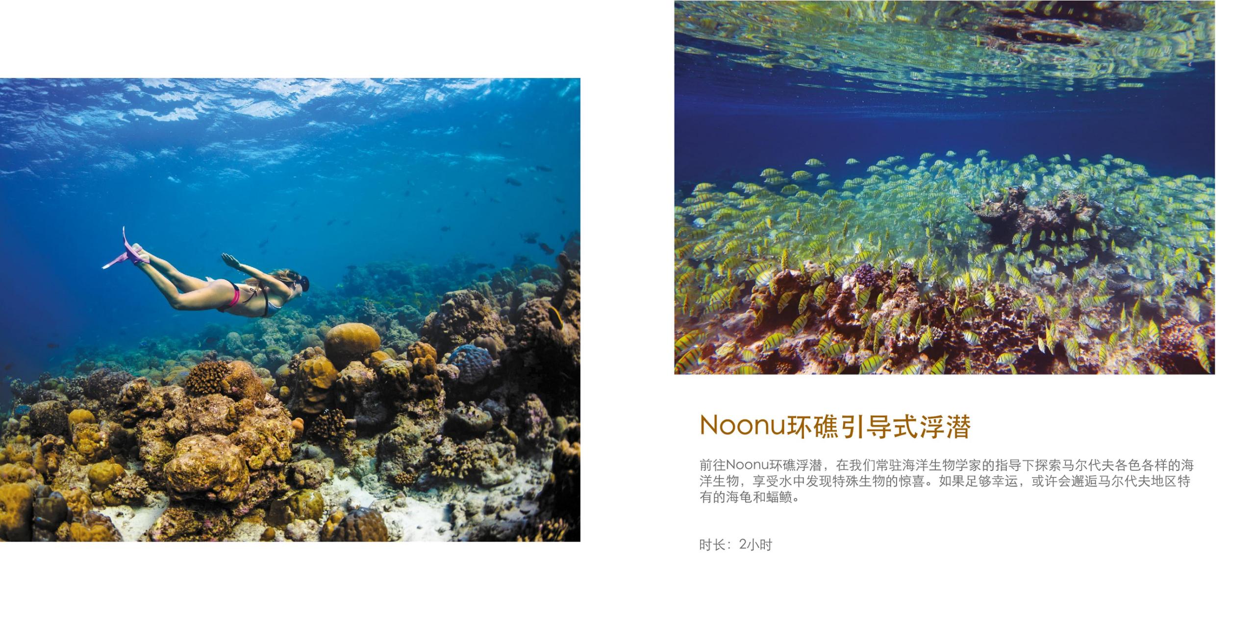 稳居海岛度假热门的马尔代夫top榜第五篇（排名不分先后）