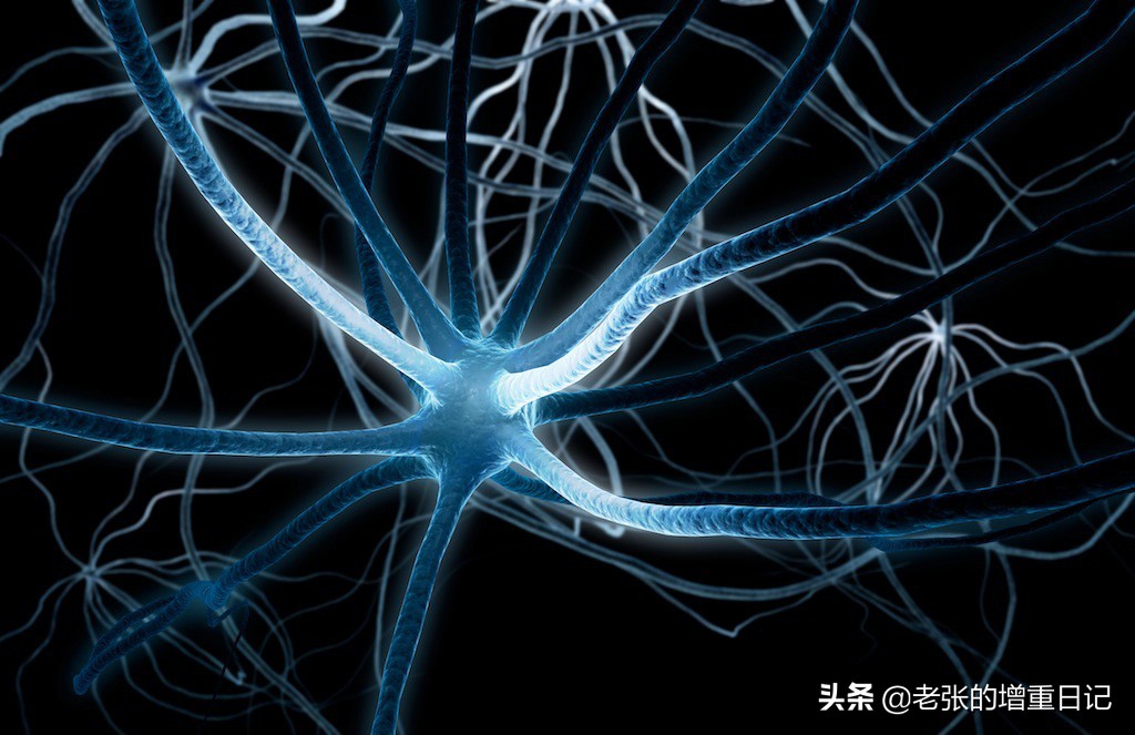 瘦子如何提高吸收能力,吸收差的人偏瘦怎么调理