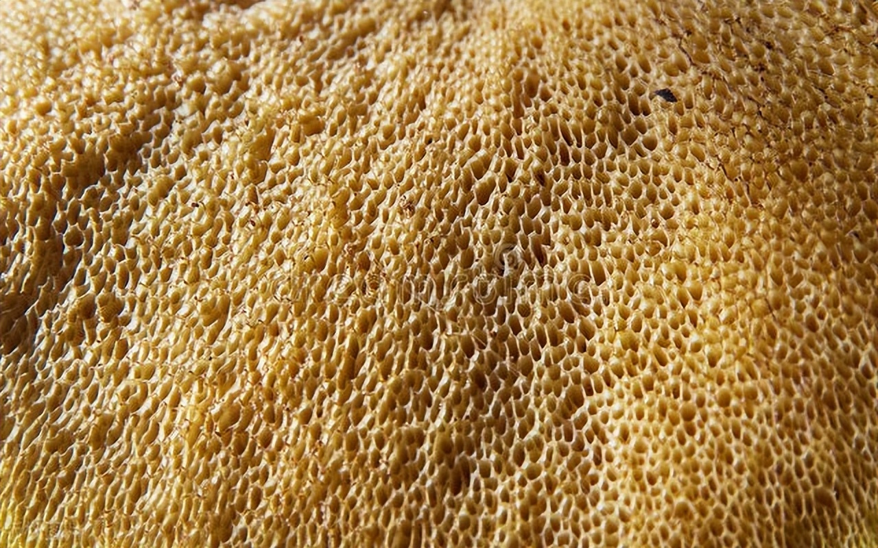 室友偷用自己卫生纸怎么办,室友偷用卫生纸