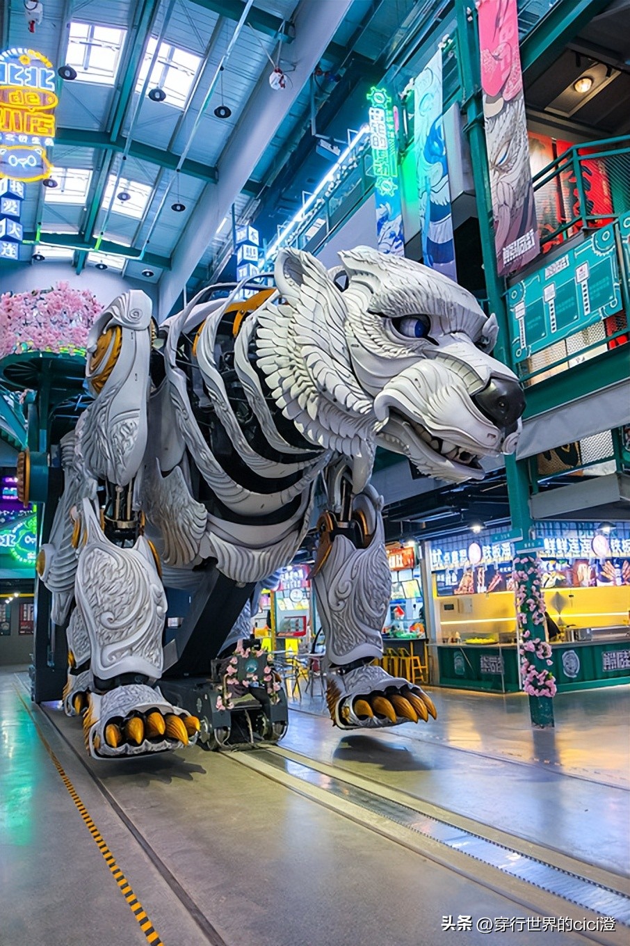 大连一日游都可以玩什么,大连一日游旅游攻略