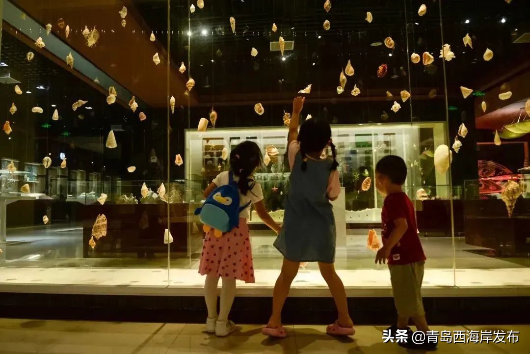 青岛冬天动物园野生动物世界,青岛野生森林动物园旅游攻略