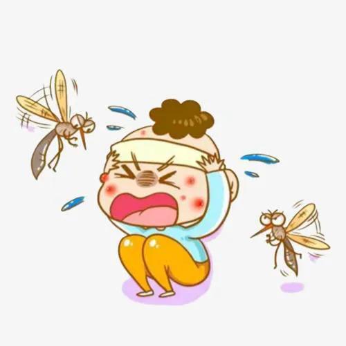 蚊子为什么晚上就老嗡嗡,晚上关灯后蚊子嗡嗡