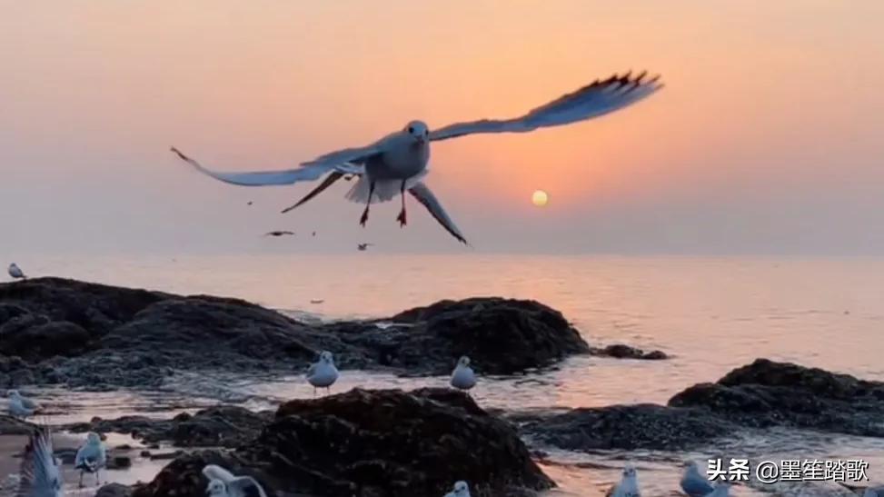 那段再也回不去的记忆,那个瞬间永远不值得被原谅