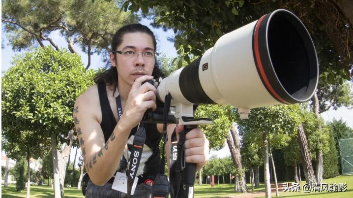 拍鸟买尼康z6还是z7,索尼a92代拍鸟怎么样