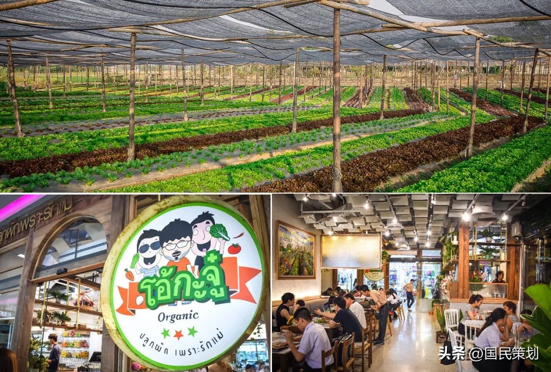 2024年清迈游学冬令营,泰国清迈有什么好项目