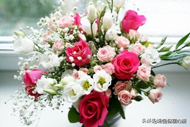 3月15日早安每日问候祝福语,三月最美早安祝福语