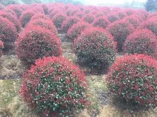 6万元回农村做什么生意好,回农村主要有什么生意可以做