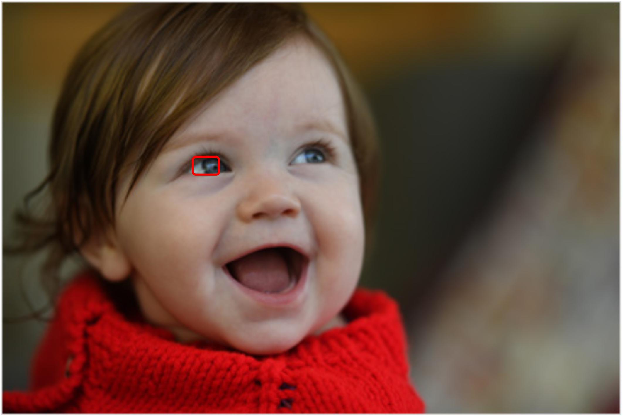 摄影入门知识相机拍摄模式详解,相机对焦入门基础知识大全