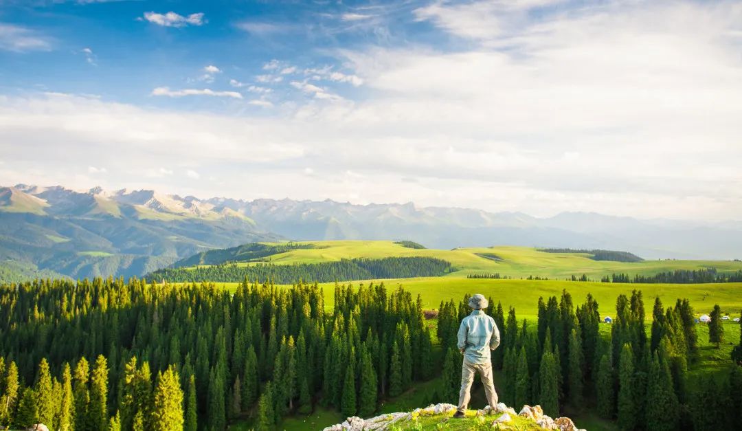 那拉提空中草原雪景照片,大草原的壮丽雪景图