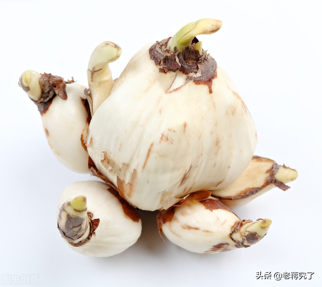 水仙枯萎怎么处理,水仙凋谢如何处理