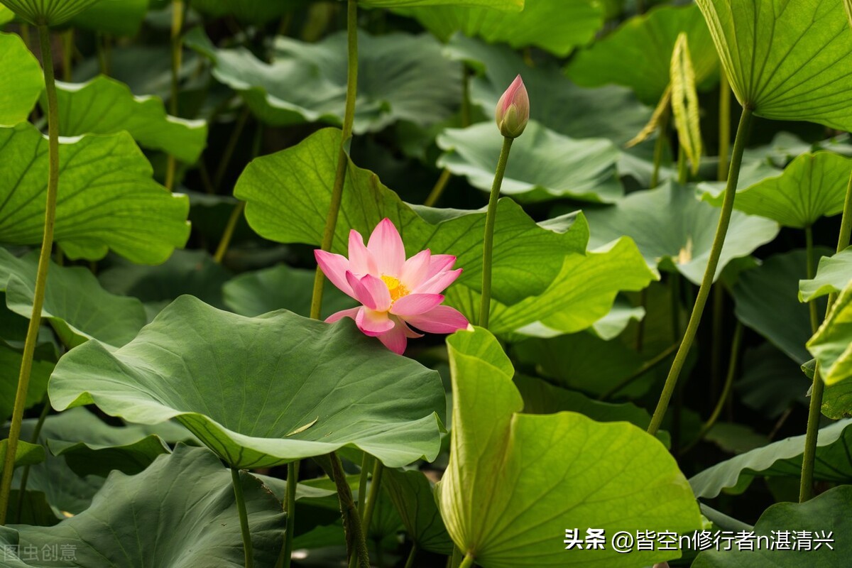 四十岁以后的人生万事随缘,40岁以后发大财的人