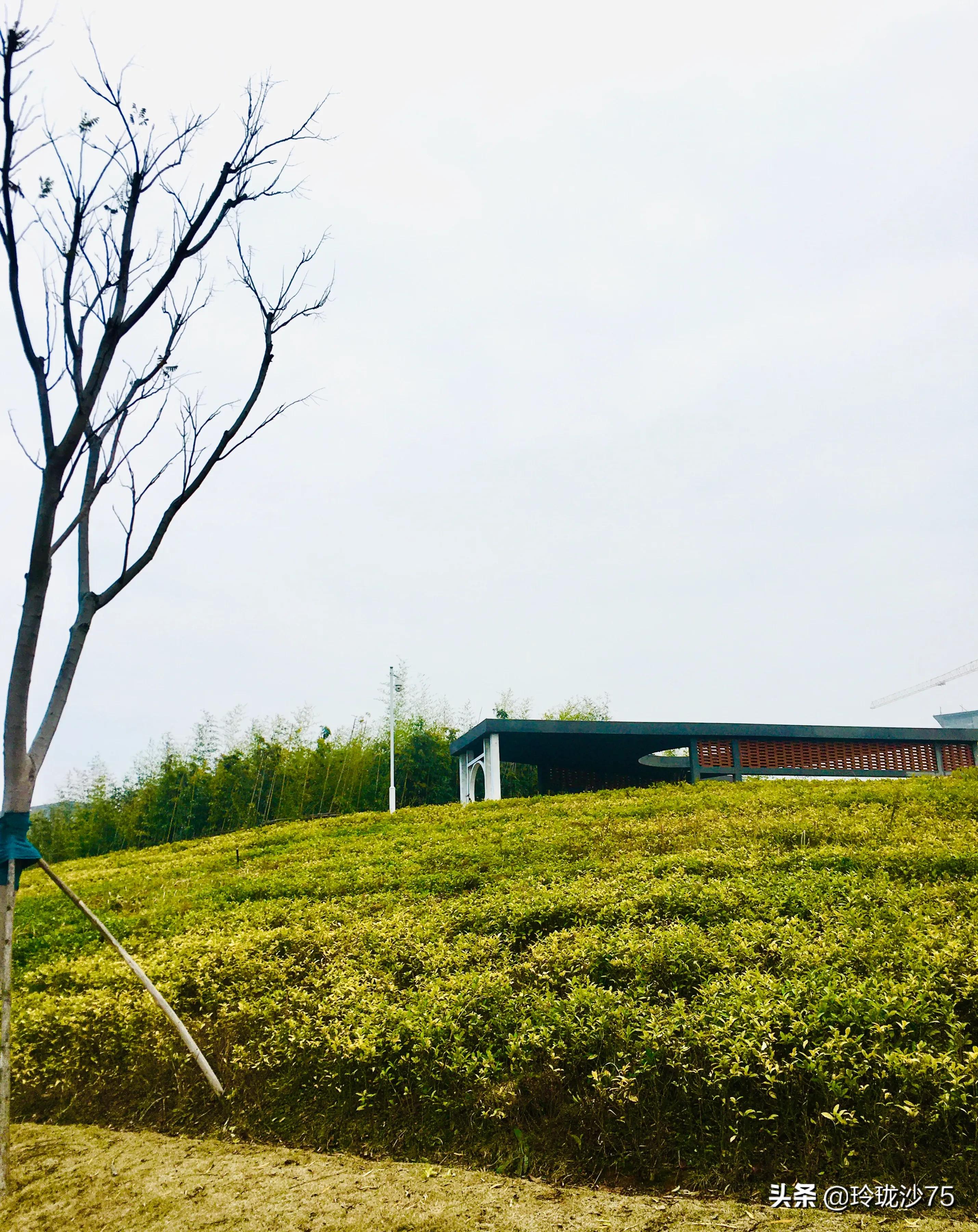 长沙风景美丽的篮球场,长沙王陵公园生态足球场