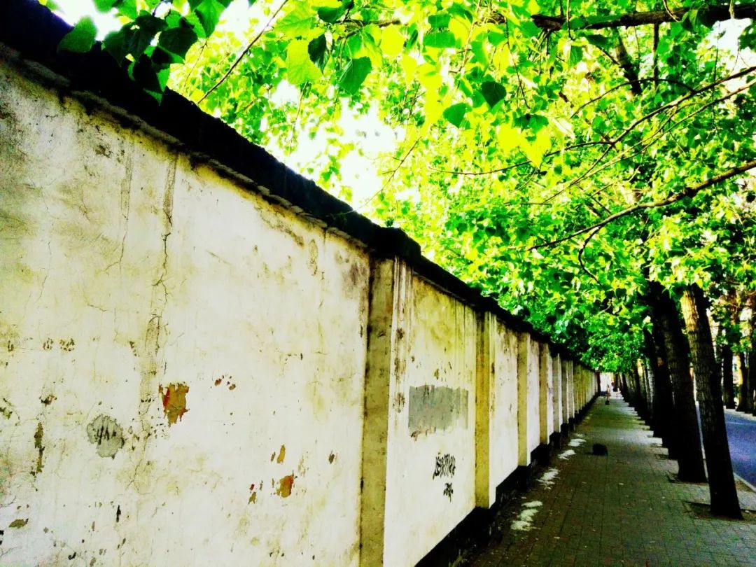 李煜菩萨蛮花明月暗笼轻雾,李白李煜最经典的十首词