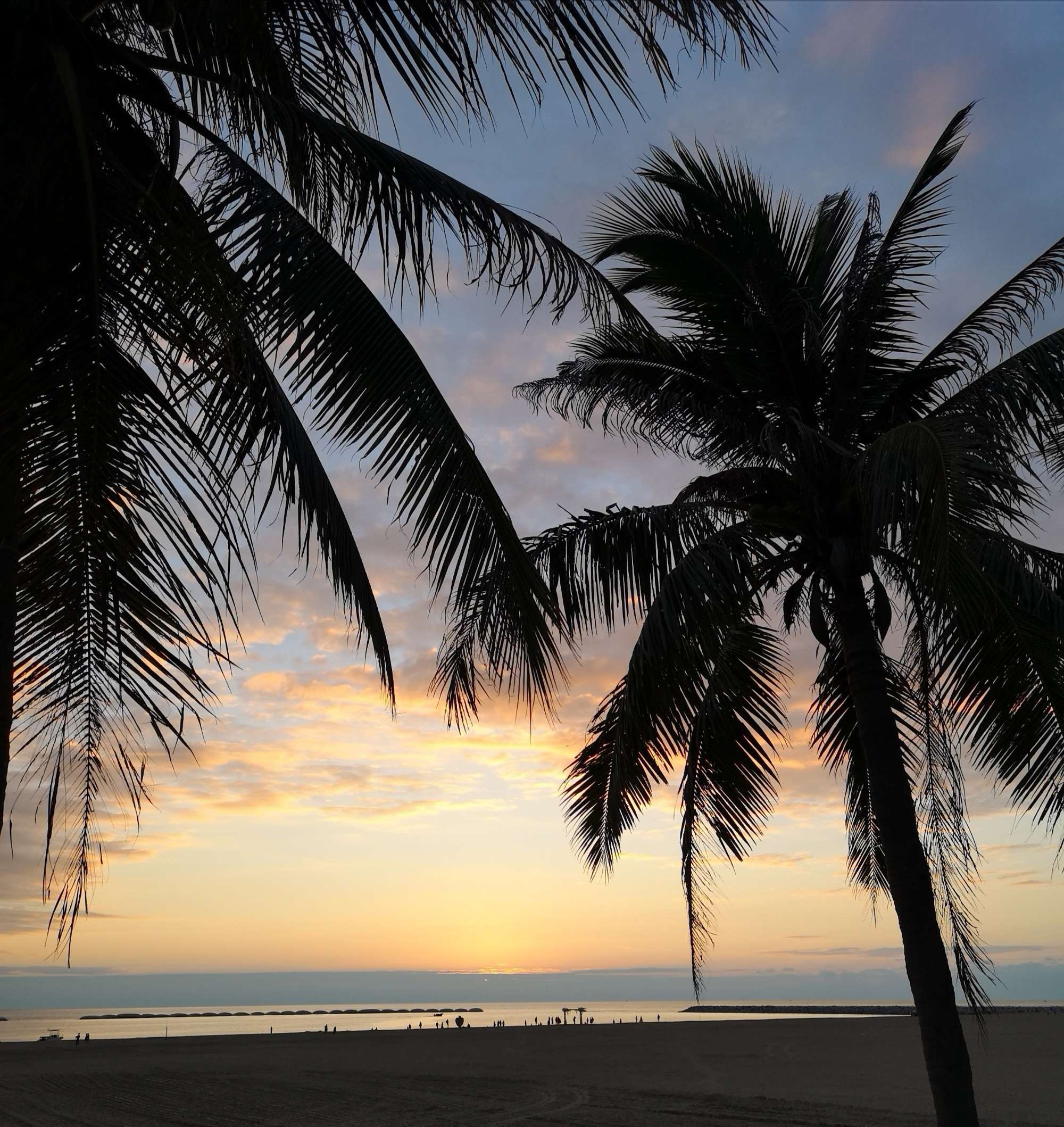 圆梦之园一一我的波波利海岸,下篇