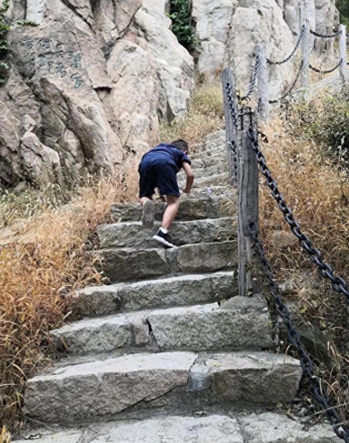 移居十年，捡到600多块河橄榄石，专家建议上交