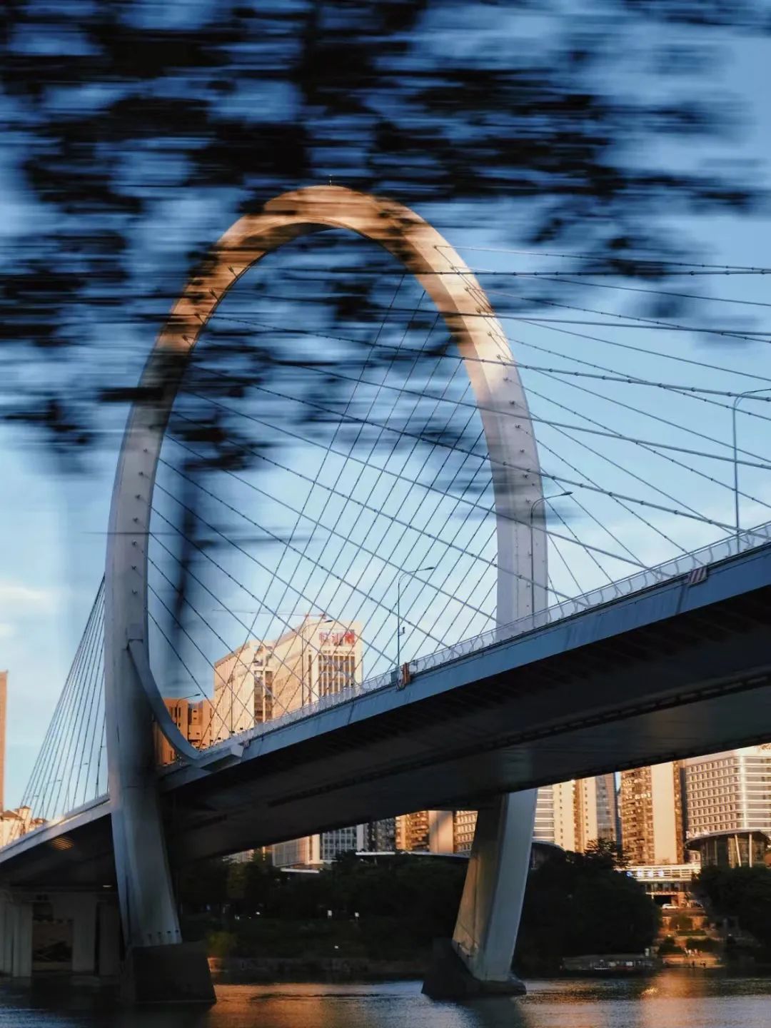 回到小县城朝九晚五,回到朝九晚五的心情说说