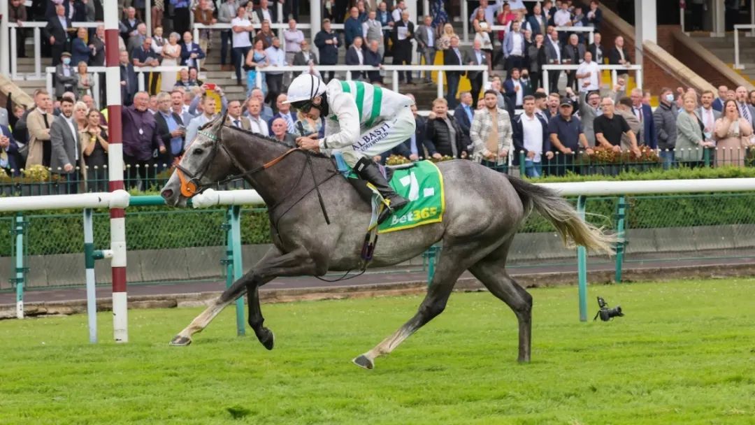 从赛马到种公马：回顾“范高尔”（Frankel）的成功转型之路