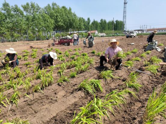 用勤劳的双手创造财富实现梦想,用勤劳的双手创造财富