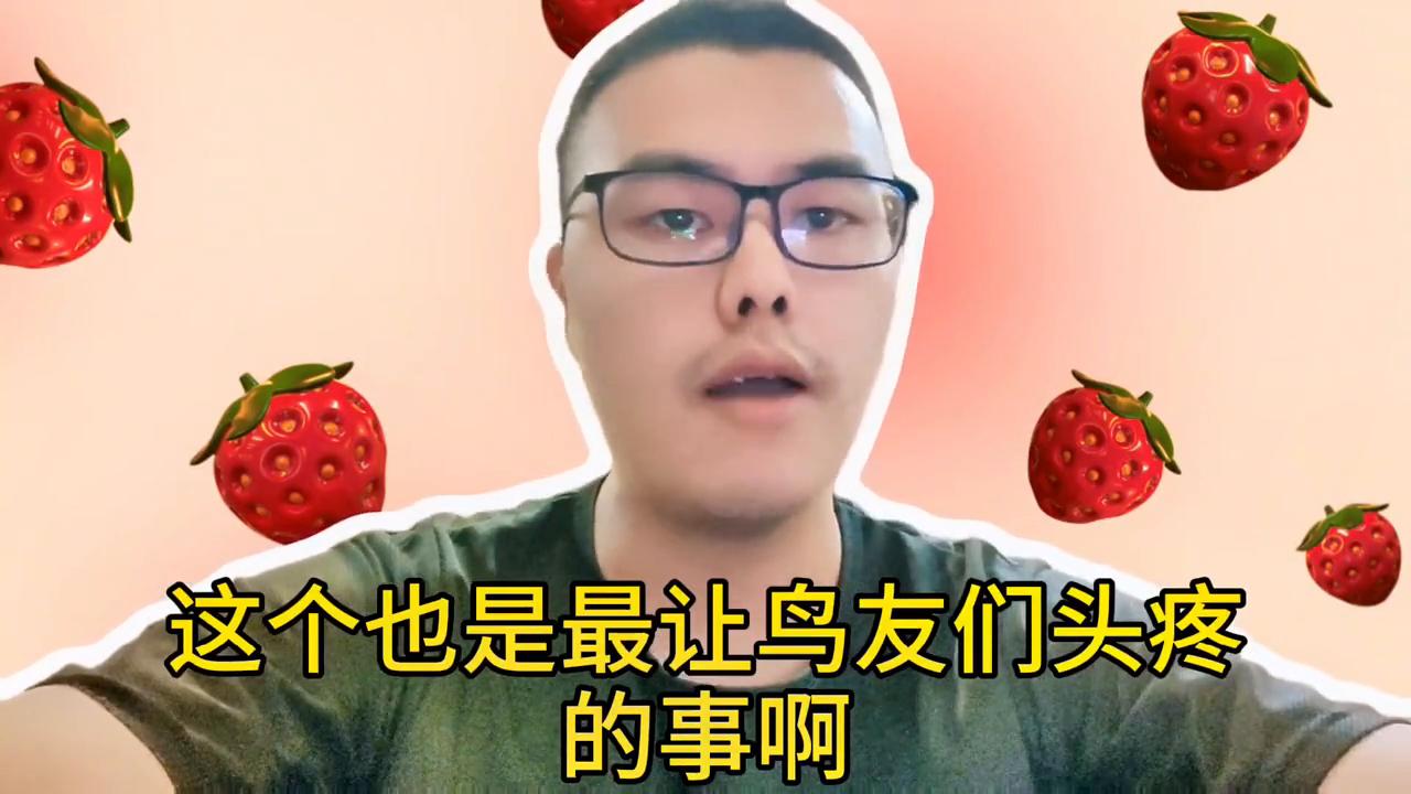 【视频】鸟类常见问题治疗与辨别（上）