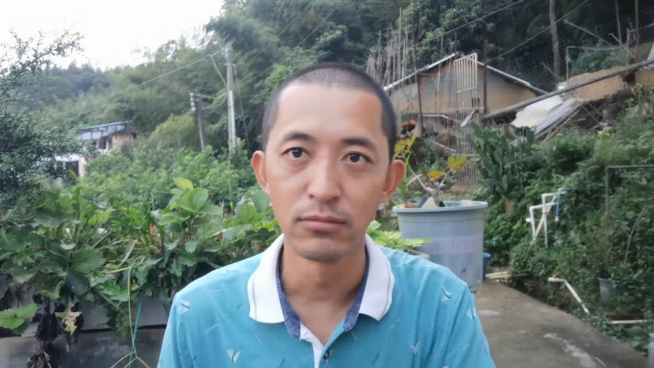 中蜂养殖技术花粉调配,中蜂如何喂花粉最好