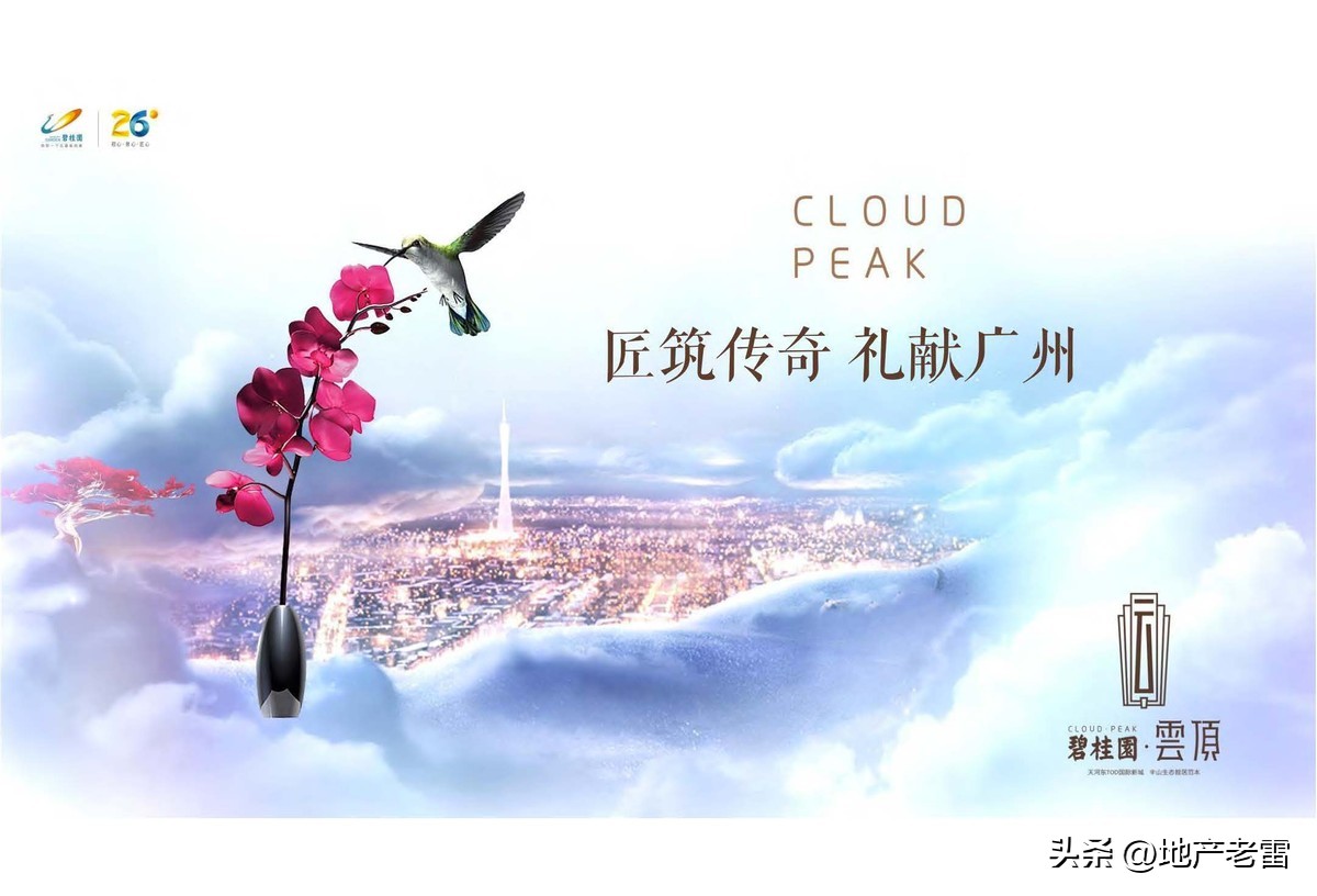 碧桂园楼盘设计方案,碧桂园主体样板展示区